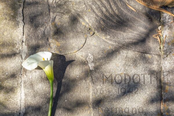 Fotografía de Manuel Armenta